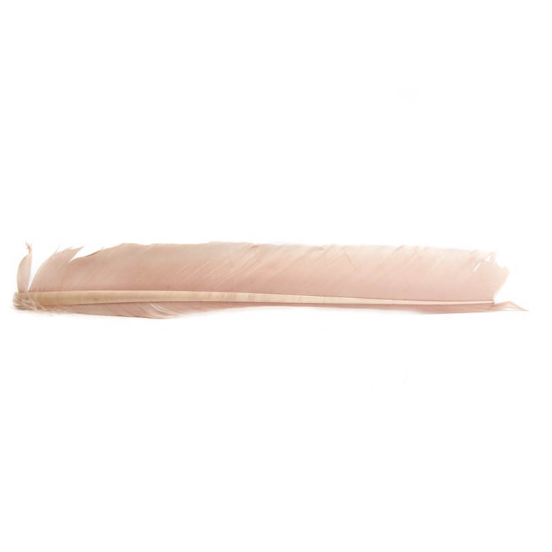Hareline Turkey Biot Quills - Dark Tan