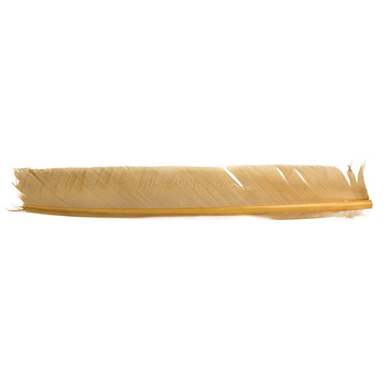 Hareline Turkey Biot Quills - Hendrickson
